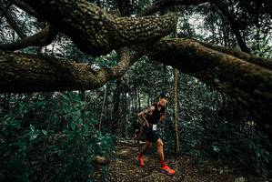 BIB: 
                            <button type="button" onclick="openModal(25665698)" class="btn btn-primary btn-sm float-right btn-popup" data-toggle="modal" data-target=".modal-high-quality">
                        <i class="fas fa-shopping-cart"></i> Add to Cart
                    </button>
                                            <button type="button" onclick="isThisMe(25665698, true)" class="btn btn-success btn-sm float-right btn-popup btn-isme hidden" data-toggle="tooltip" data-placement="bottom" title="นี่คือรูปของคุณใช่ไหม คลิกที่นี่เพื่อเอาเข้าอัลบั้ม">
                        <i class="fas fa-plus"></i> Add to album
                    </button>
                    <button type="button" onclick="isThisMe(25665698, false)" class="btn btn-warning btn-sm float-right btn-popup btn-isnotme hidden">
                        <i class="fas fa-ban"></i> Remove from album
                    </button>